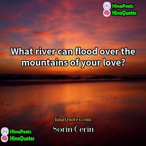 Sorin Cerin Quotes | What river can flood over the mountains